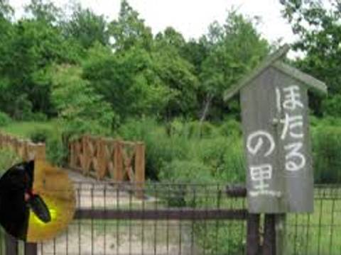 愛知のアスレチックのある公園選 利用無料 遊具の多い大きい公園や名古屋から近い公園 子連れのおでかけ 子どもの遊び場探しならコモリブ 愛知のアスレチックのある公園選 利用無料 遊具の多い大きい公園や名古屋から近い公園 子連れのおでかけ 子どもの遊び場探しならコモリブ