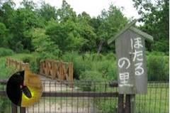 愛知のアスレチックのある公園20選。利用無料！遊具の多い大きい公園や名古屋から近い公園