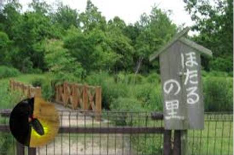 おおぶ健康の森 自転車