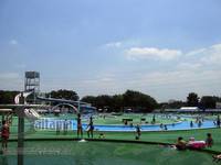 大和田公園プール の写真 (3)