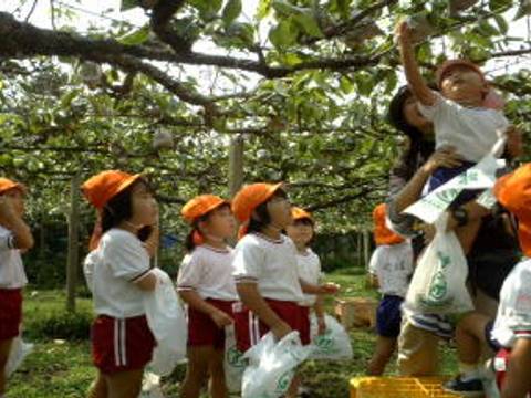 宮崎県の子連れ観光オススメ10選 大自然を体で体感 子連れのおでかけ 子どもの遊び場探しならコモリブ 宮崎県の子連れ観光オススメ10選 大自然を体で体感 子連れのおでかけ 子どもの遊び場探しならコモリブ