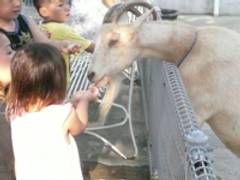 神奈川にある動物園10選！ 動物たちと間近でふれあうこともできちゃう。