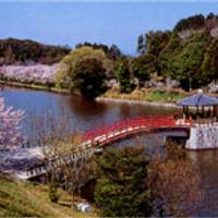 香川県立亀鶴公園 の写真 (2)