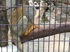 行船公園・江戸川区自然動物園