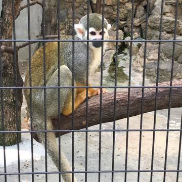 東京都内のふれあい動物がある場所14選 モルモットやうさぎなどに餌やりができるところも 子連れのおでかけ 子どもの遊び場探しならコモリブ