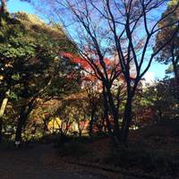 横浜公園 の写真 (2)