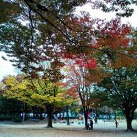彦田公園 の写真 (2)