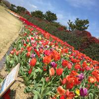 静岡県営吉田公園 の写真