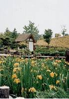竹取公園 の写真