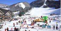 野沢温泉スキー場 の写真 (1)