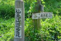 仙元山見晴らしの丘公園 の写真 (1)