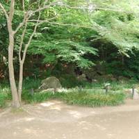 泉谷公園 の写真 (3)