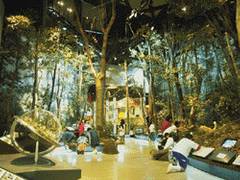 ミュージアムパーク 茨城県自然博物館 子連れのおでかけ 子どもの遊び場探しならコモリブ ミュージアムパーク 茨城県自然博物館 子連れのおでかけ 子どもの遊び場探しならコモリブ