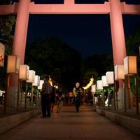 平塚八幡宮（ひらつかはちまんぐう） の写真 (2)