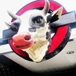 ローストビーフ丼はお家で簡単に作れる おすすめレシピ Comolib Magazine