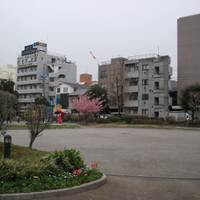 西蒲田公園 の写真 (1)