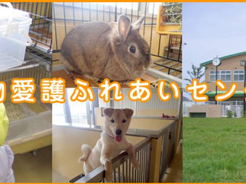 さいたま市動物愛護ふれあいセンター 子連れのおでかけ 子どもの遊び場探しならコモリブ