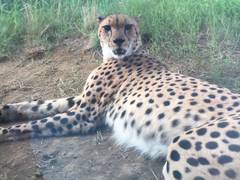 よこはま動物園ズーラシア