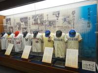松井秀喜ベースボールミュージアム の写真 (1)