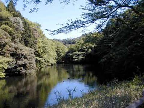 鎌倉の子連れにおすすめ公園8選 海の見える公園や自然とふれあえる公園がいっぱい 子連れのおでかけ 子どもの遊び場探しならコモリブ 鎌倉の子連れにおすすめ公園8選 海の見える公園や自然とふれあえる公園がいっぱい 子連れのおでかけ 子どもの遊び場探しならコモリブ