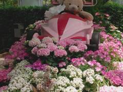 豊橋で子供に人気の遊び場 公園17選 雨でも楽しめる屋内アスレチックやイベント開催も 子連れのおでかけ 子どもの遊び場探しならコモリブ 豊橋で子供に人気の遊び場 公園17選 雨でも楽しめる屋内アスレチックやイベント開催も 子連れのおでかけ 子どもの遊び場探しならコモリブ