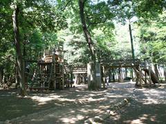 埼玉県のアスレチック遊具がある公園20選！無料で楽しめる大型公園やさいたま市の施設も