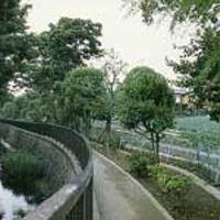 大泉井頭公園（おおいずみいがしらこうえん） の写真 (3)
