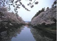 松が岬公園 の写真 (1)
