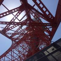 東京タワー の写真 (2)
