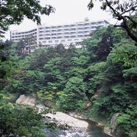 鬼怒川ロイヤルホテル の写真 (3)