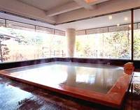 秘湯の宿 元泉館 （ヒトウノユ ゲンセンカン） の写真 (2)