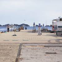 松島島巡り観光船 の写真 (3)
