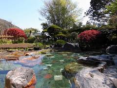 箱根の露天風呂付き客室がある子連れにおすすめな宿10選！家族でのんびり温泉に