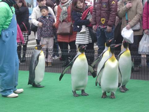 福井の子連れ旅行におすすめ観光施設選 子供が喜ぶ遊び場や地元で人気のお出かけ先も 子連れのおでかけ 子どもの遊び場探しならコモリブ