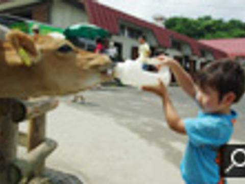 栃木の観光スポット選 赤ちゃんや子供 子連れ旅行のお出かけ先におすすめ 子連れのおでかけ 子どもの遊び場探しならコモリブ 栃木の観光スポット選 赤ちゃんや子供 子連れ旅行のお出かけ先におすすめ 子連れのおでかけ 子どもの遊び場探しならコモリブ