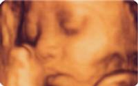 けい産婦人科クリニック の写真 (2)