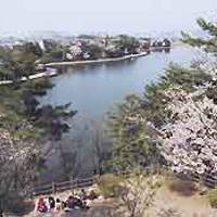 白水大池公園 の写真 (2)
