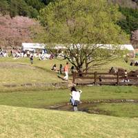 土師ダム記念公園 の写真