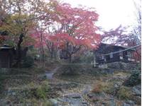 嵐山渓谷月川荘キャンプ場 の写真 (2)