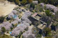福岡城跡 の写真 (3)