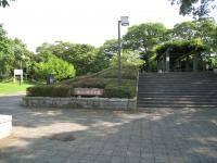 栃山川緑地公園　とちやまがわりょくちこうえん の写真