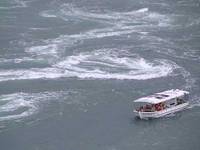 来島海峡急流観潮船（くるしまかいきょうきゅうりゅうかんちょうせん） の写真 (2)