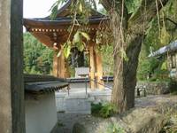 長谷寺 の写真