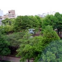 湊川公園（みなとがわこうえん） の写真 (2)
