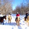 カナディアンキャンプ北海道　乗馬クラブリーフ 北海道(苫小牧・千歳) ホーストレッキング(乗馬)
