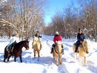 カナディアンキャンプ北海道　乗馬クラブリーフ 北海道(苫小牧・千歳) ホーストレッキング(乗馬) の写真 (1)