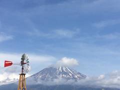 まかいの牧場 子連れのおでかけ 子どもの遊び場探しならコモリブ まかいの牧場 子連れのおでかけ 子どもの遊び場探しならコモリブ