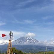 まかいの牧場 子連れのおでかけ 子どもの遊び場探しならコモリブ