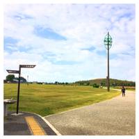 pachikoさんが撮った まつぶし緑の丘公園 の写真