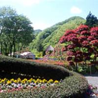 秋保大滝植物園 の写真 (2)